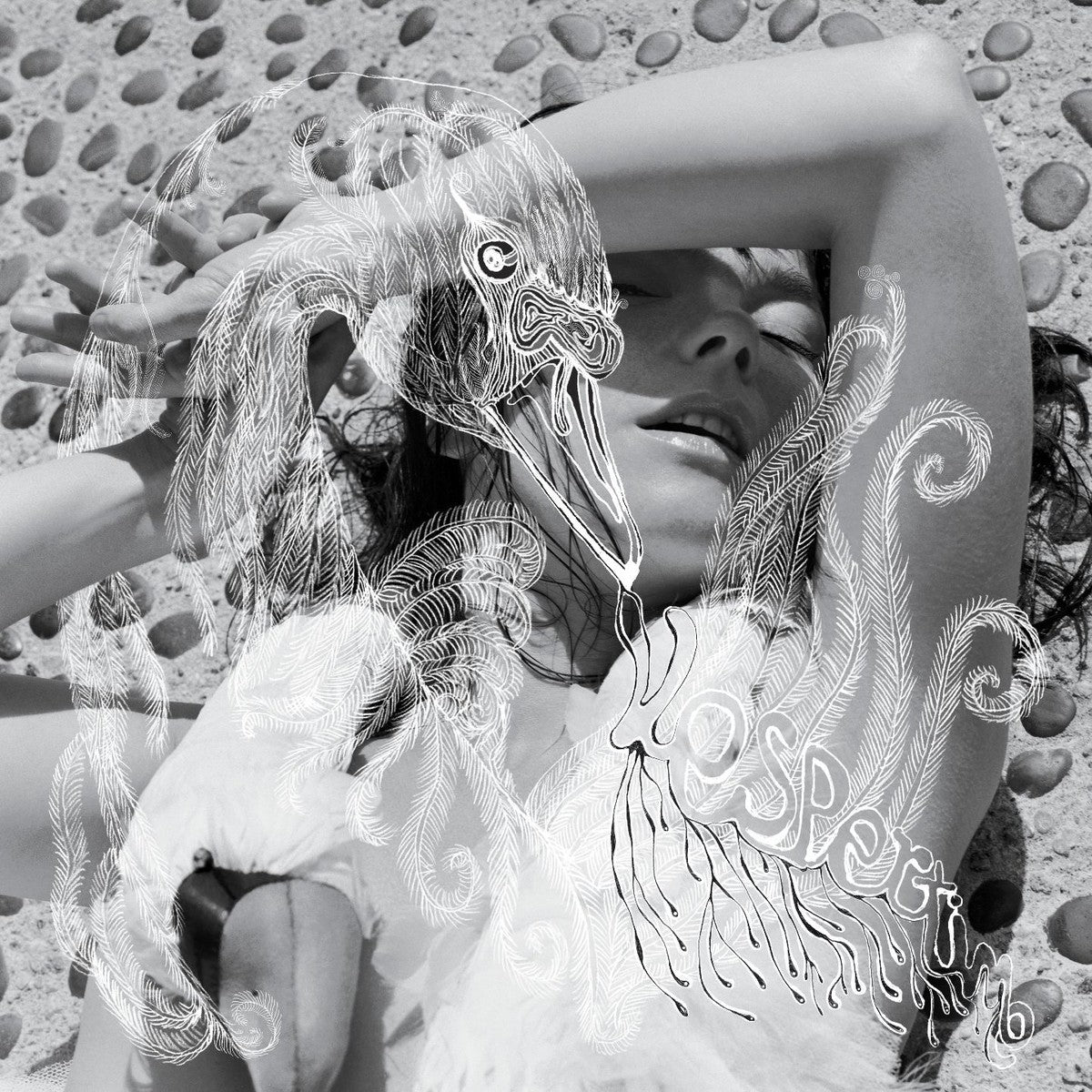 Portada de Vespertine — Björk